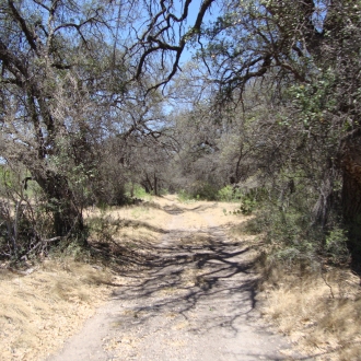 TweedyRanch (28)